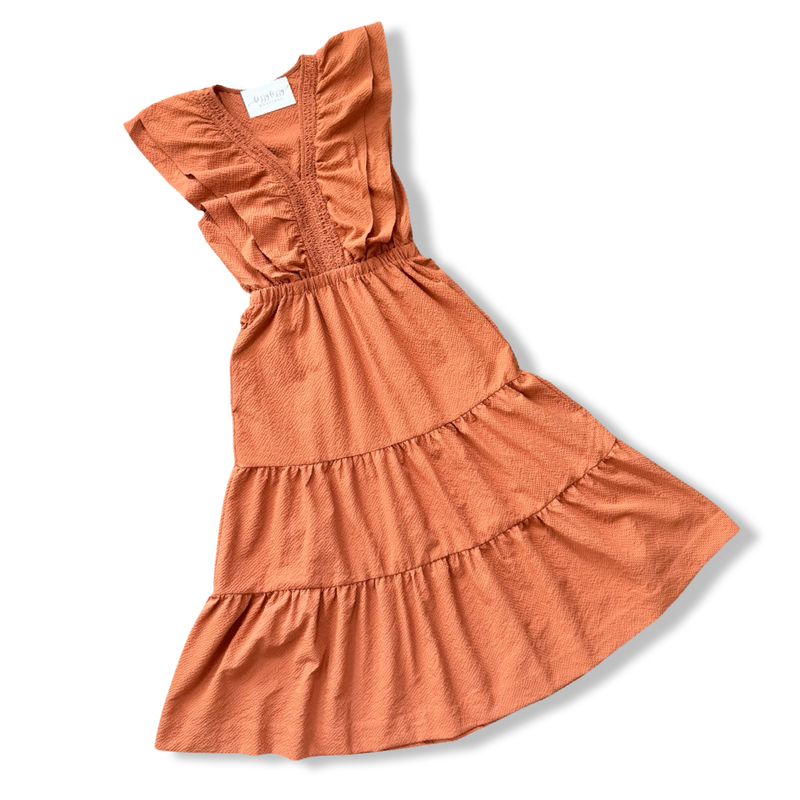 Birdie Dress Burnt Orange Dress THML