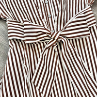 Close-up of a brown and white vertically striped shirt dress with a matching fabric tie belt and silver buttons.