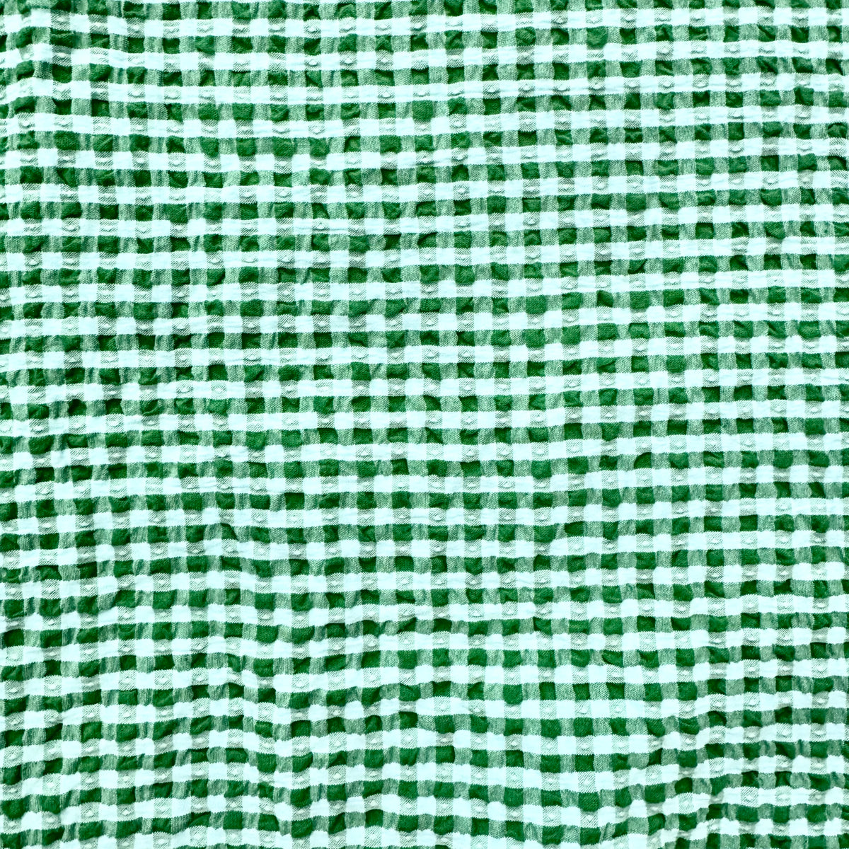 Hudson Top Gingham THML Top with Zipper Close Up Textured Print